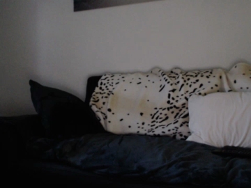1sexysexy  11-07-2021 Recorded Video Cam